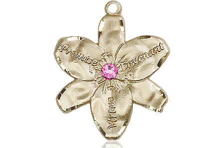 14kt Gold Filled Chastity Medal with a 3mm Rose Swarovski stone