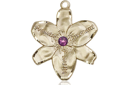 14kt Gold Filled Chastity Medal with a 3mm Amethyst Swarovski stone