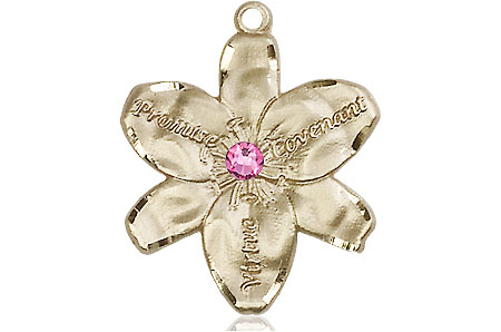 14kt Gold Chastity Medal with a 3mm Rose Swarovski stone