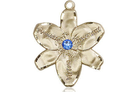 14kt Gold Chastity Medal with a 3mm Sapphire Swarovski stone
