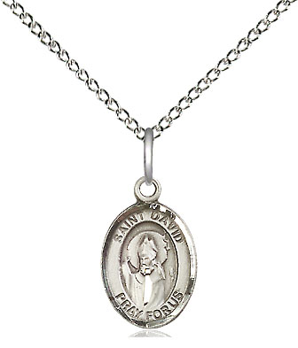 Sterling Silver Saint David of Wales Pendant on a 18 inch Sterling Silver Light Curb chain