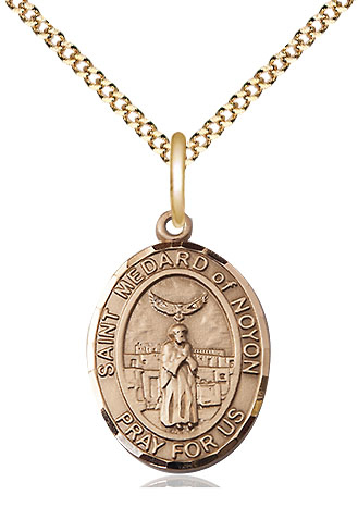 14kt Gold Filled Saint Medard of Noyon Pendant on a 18 inch Gold Plate Light Curb chain