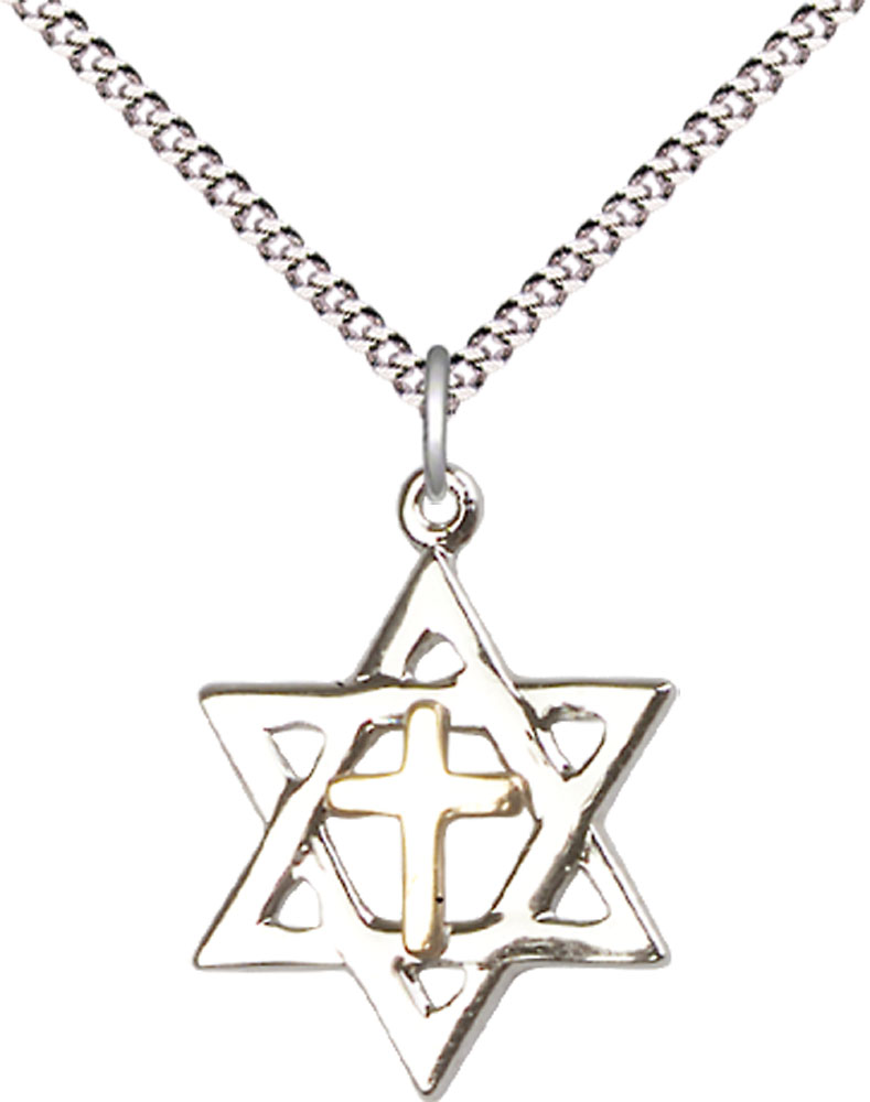 Two-Tone GF/SS Star of David Pendant on a 18 inch Light Rhodium Light Curb chain