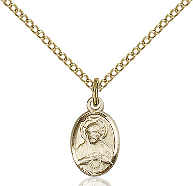 14kt Gold Filled Scapular Pendant on a 18 inch Gold Filled Light Curb chain