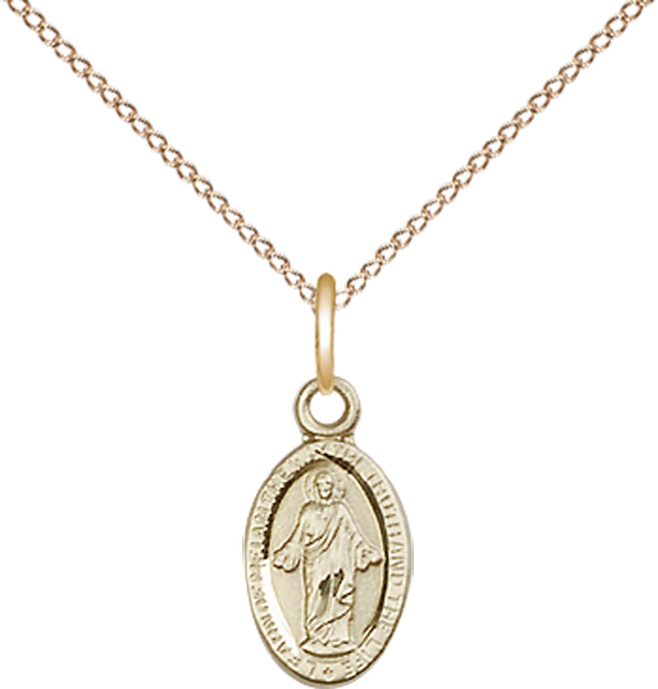 14kt Gold Filled Scapular Pendant on a 18 inch Gold Filled Light Curb chain