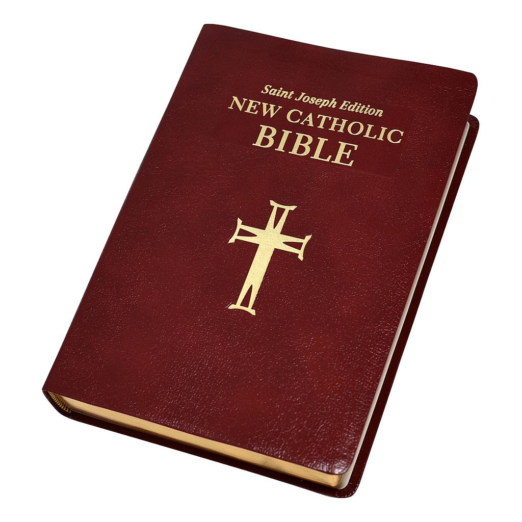 St. Joseph New Catholic Bible (Large Type)