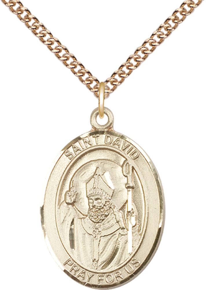 14kt Gold Filled Saint David of Wales Pendant on a 24 inch Gold Filled Heavy Curb chain