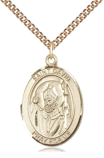 14kt Gold Filled Saint David of Wales Pendant on a 24 inch Gold Filled Heavy Curb chain
