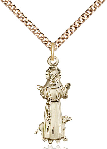 14kt Gold Filled Saint Francis Pendant on a 24 inch Gold Filled Heavy Curb chain