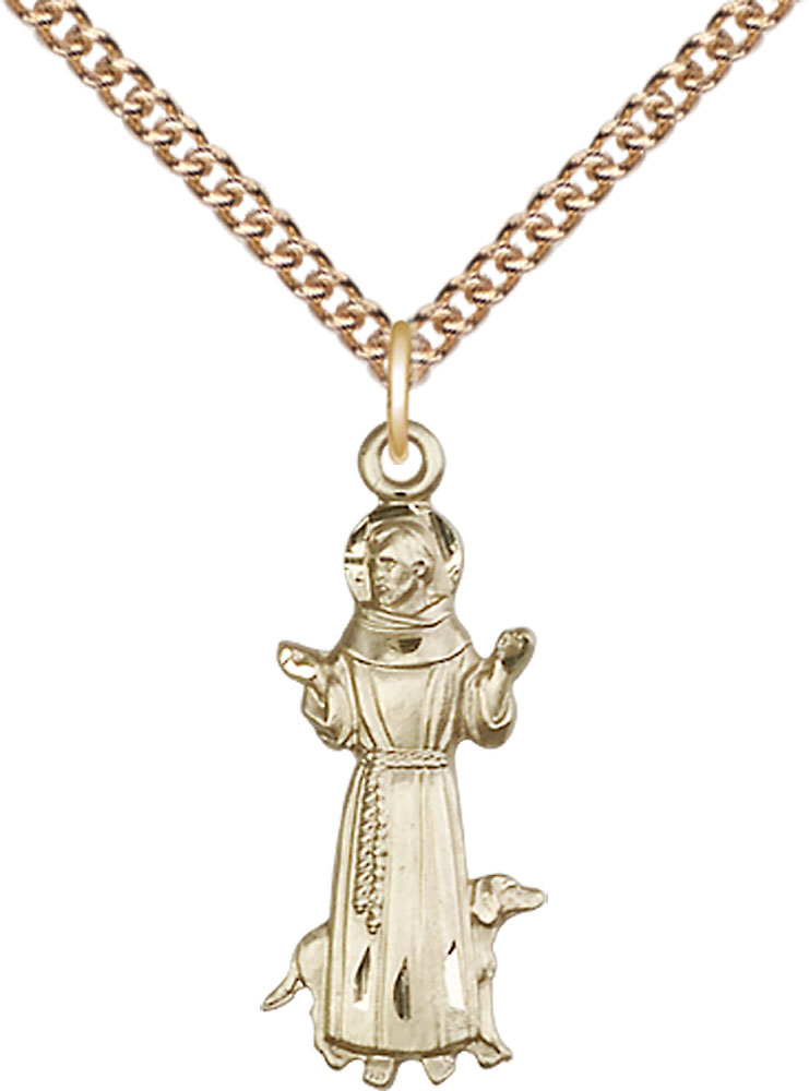 14kt Gold Filled Saint Francis Pendant on a 24 inch Gold Filled Heavy Curb chain