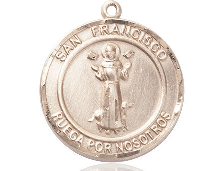 14kt Gold Filled San Francis of Assisi Medal