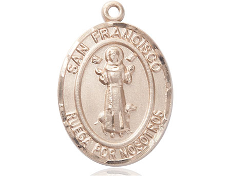 14kt Gold Filled San Francis Medal