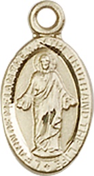 [4121SGF] 14kt Gold Filled Scapular Medal