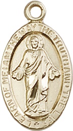 [4122SGF] 14kt Gold Filled Scapular Medal