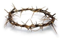 [AP-CROWN-THORNS] Crown of Thorns (Life Size)