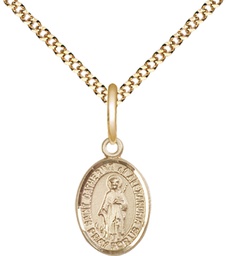 [9343GF/18G] 14kt Gold Filled Saint Catherine of Alexandria Pendant on a 18 inch Gold Plate Light Curb chain