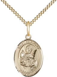 [8091GF/18G] 14kt Gold Filled Saint Raymond Nonnatus Pendant on a 18 inch Gold Plate Light Curb chain