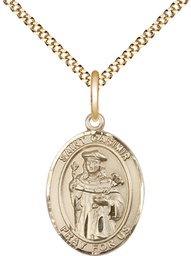 [8113GF/18G] 14kt Gold Filled Saint Casimir of Poland Pendant on a 18 inch Gold Plate Light Curb chain