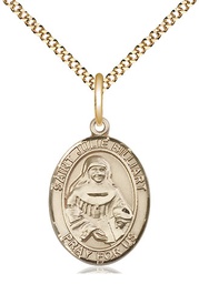 [8117GF/18G] 14kt Gold Filled Saint Julie Billiart Pendant on a 18 inch Gold Plate Light Curb chain