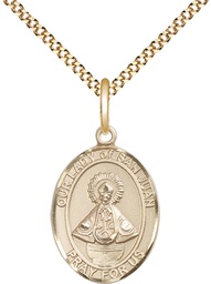 [8263GF/18G] 14kt Gold Filled Our Lady of San Juan Pendant on a 18 inch Gold Plate Light Curb chain