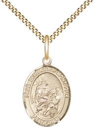 [8264GF/18G] 14kt Gold Filled Saint Bernard of Montjoux Pendant on a 18 inch Gold Plate Light Curb chain