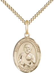 [8277GF/18G] 14kt Gold Filled Saint James the Lesser Pendant on a 18 inch Gold Plate Light Curb chain