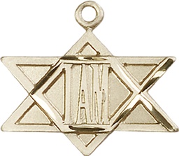 [5917KT] 14kt Gold I Am / Star of David Medal