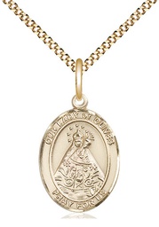 [8303GF/18G] 14kt Gold Filled Our Lady of Olives Pendant on a 18 inch Gold Plate Light Curb chain