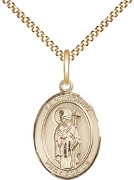 [8315GF/18G] 14kt Gold Filled Saint Ronan Pendant on a 18 inch Gold Plate Light Curb chain