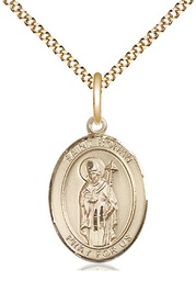 [8315GF/18G] 14kt Gold Filled Saint Ronan Pendant on a 18 inch Gold Plate Light Curb chain
