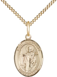 [8323GF/18G] 14kt Gold Filled Saint Wolfgang Pendant on a 18 inch Gold Plate Light Curb chain
