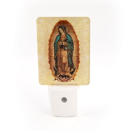 [C-NL113] LED Night Light Guadalupe