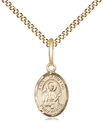 [9019GF/18G] 14kt Gold Filled Saint Camillus of Lellis Pendant on a 18 inch Gold Plate Light Curb chain