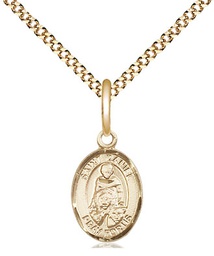 [9024GF/18G] 14kt Gold Filled Saint Daniel Pendant on a 18 inch Gold Plate Light Curb chain