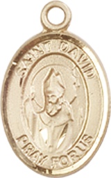 [9027GF] 14kt Gold Filled Saint David of Wales Medal