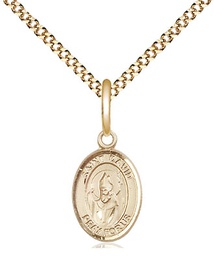 [9027GF/18G] 14kt Gold Filled Saint David of Wales Pendant on a 18 inch Gold Plate Light Curb chain