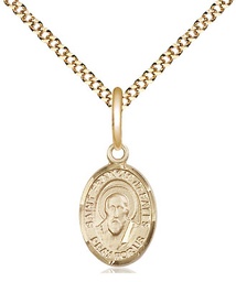 [9035GF/18G] 14kt Gold Filled Saint Francis de Sales Pendant on a 18 inch Gold Plate Light Curb chain