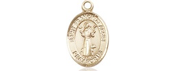 [9036GF] 14kt Gold Filled Saint Francis of Assisi Medal