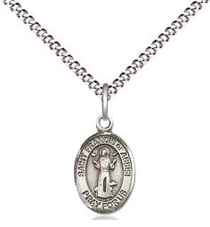 [9036SS/18S] Sterling Silver Saint Francis of Assisi Pendant on a 18 inch Light Rhodium Light Curb chain