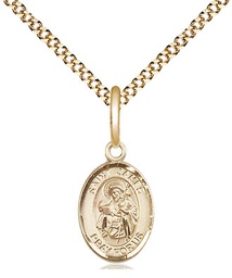 [9050GF/18G] 14kt Gold Filled Saint James the Greater Pendant on a 18 inch Gold Plate Light Curb chain