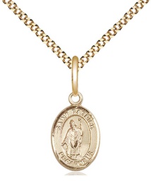 [9084GF/18G] 14kt Gold Filled Saint Patrick Pendant on a 18 inch Gold Plate Light Curb chain