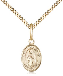 [9111GF/18G] 14kt Gold Filled Saint Juan Diego Pendant on a 18 inch Gold Plate Light Curb chain