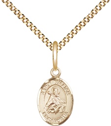 [9114GF/18G] 14kt Gold Filled Saint William of Rochester Pendant on a 18 inch Gold Plate Light Curb chain