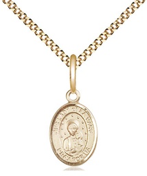 [9115GF/18G] 14kt Gold Filled Our Lady of la Vang Pendant on a 18 inch Gold Plate Light Curb chain