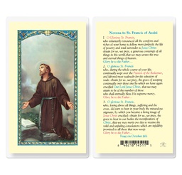 [HI-E24-312] Novena to Saint Francis Laminated Holy Card