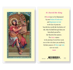 [HI-E24-433] Saint David Laminated Holy Card