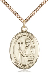 [7380GF/24GF] 14kt Gold Filled Saint Regis Pendant on a 24 inch Gold Filled Heavy Curb chain