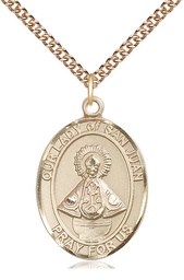 [7263GF/24GF] 14kt Gold Filled Our Lady of San Juan Pendant on a 24 inch Gold Filled Heavy Curb chain