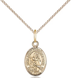 [9448GF/18GF] 14kt Gold Filled Our Lady of the Precious Blood Pendant on a 18 inch Gold Filled Light Curb chain