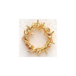 [SJ4711] Crown Of Thorns